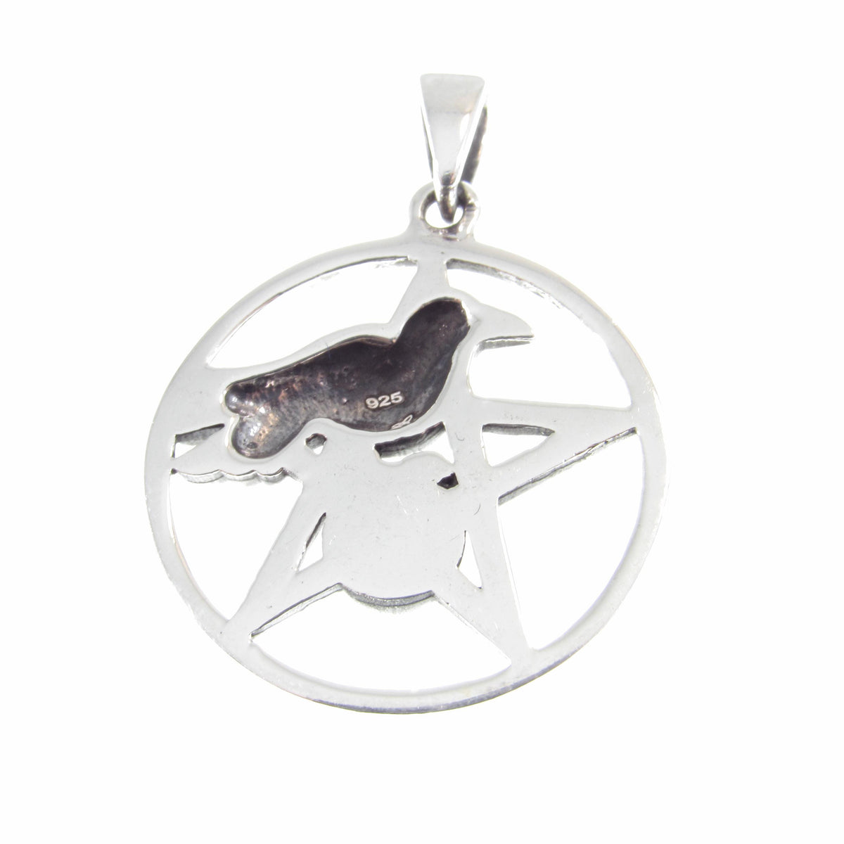 Solid 925 Sterling Silver Crow and Pentacle Pendant with Black Onyx, Gothic Raven Pentagram