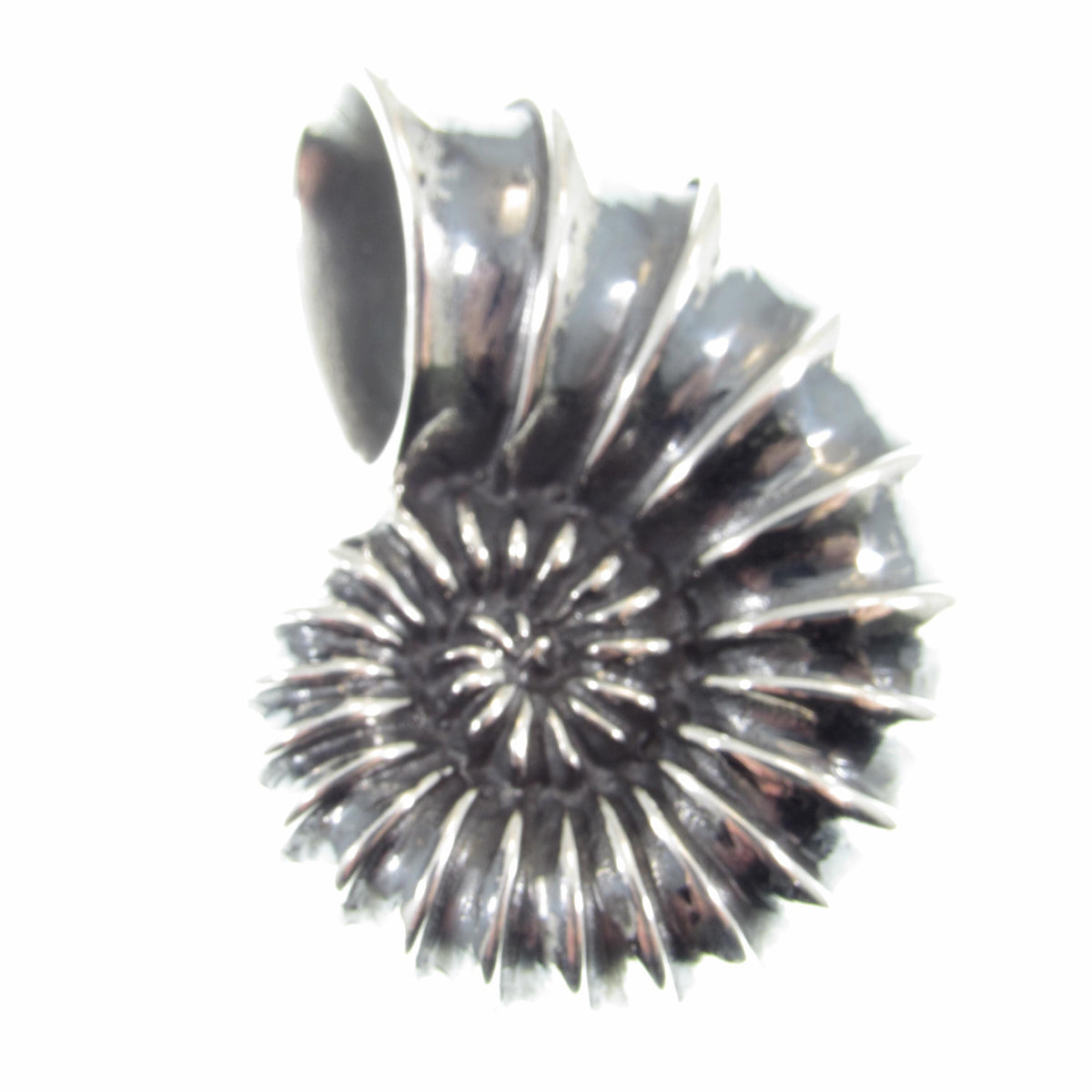 Solid 925 Sterling Silver Ammonite Fossil Pendant, Handcrafted Shaligram Shell, Spiral Slide Charm, Nature Jewelry, Gift for Men and Women