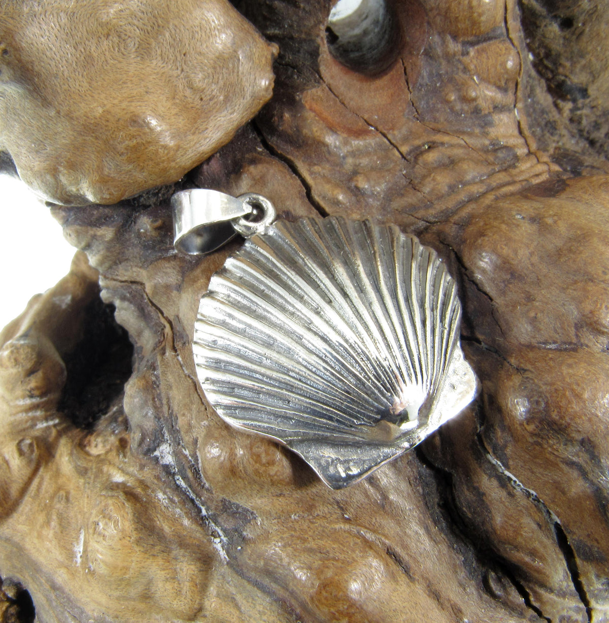 Solid 925 Sterling Silver Seashell Pendant - Clam Shell Scallop Charm - Handcrafted Nautical, Beach, Ocean, Coastal Sea Life Jewelry