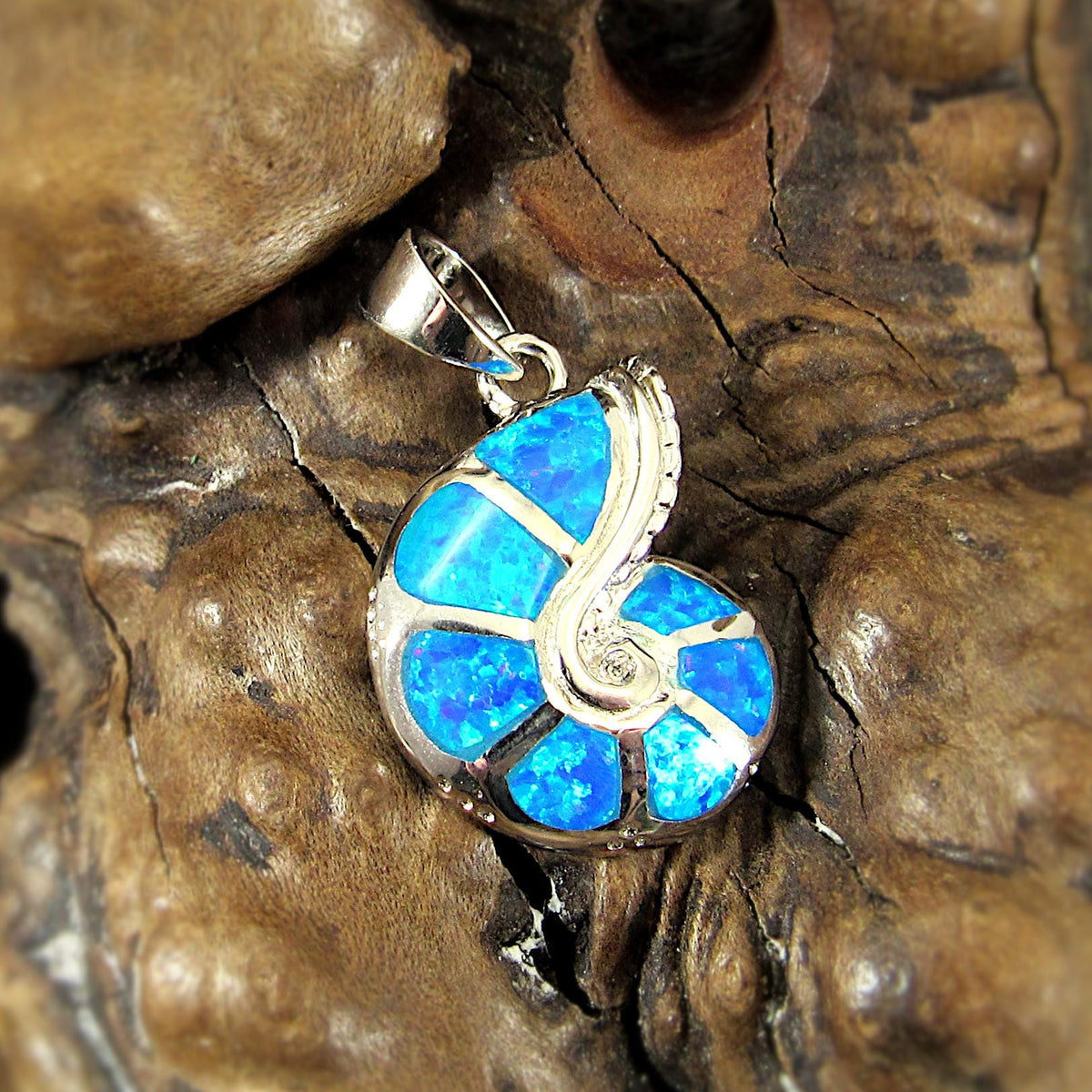 Solid 925 Sterling Silver and Blue Opal Shell Pendant, Nautilus Seashell Jewelry, Ammonite Fossil Charm, Sea Sand Ocean and Marine Interest